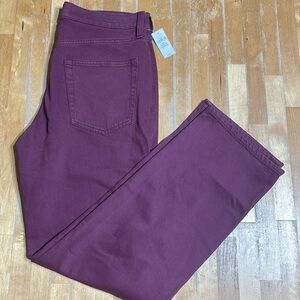 NWT women’s Gap 90’s loose mid rise jeans